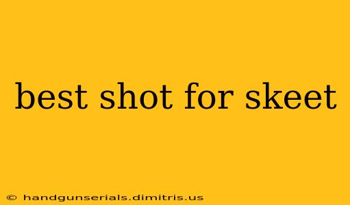 best shot for skeet