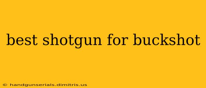 best shotgun for buckshot