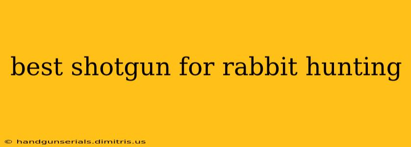 best shotgun for rabbit hunting