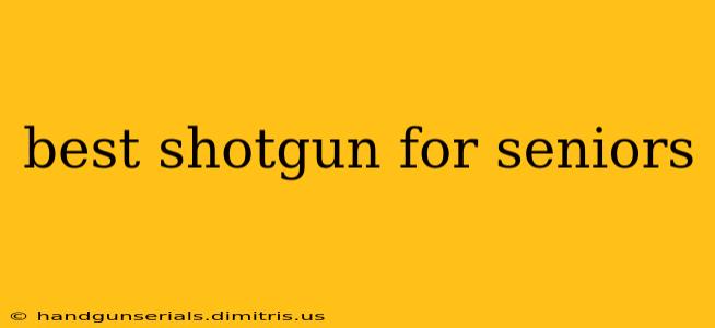 best shotgun for seniors