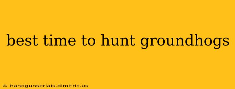 best time to hunt groundhogs