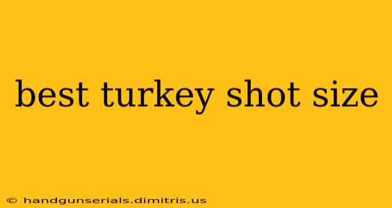 best turkey shot size