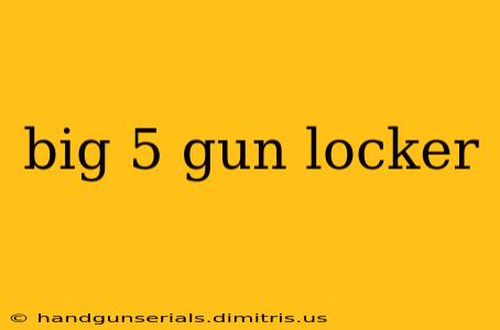 big 5 gun locker