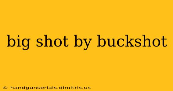 big shot by buckshot