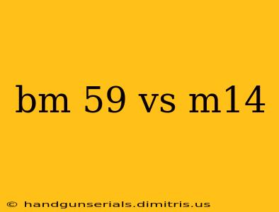 bm 59 vs m14