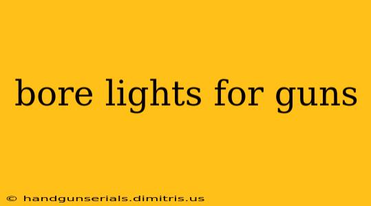 bore lights for guns