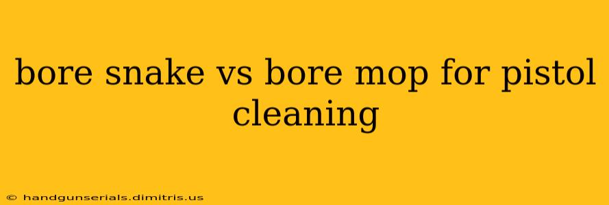 bore snake vs bore mop for pistol cleaning