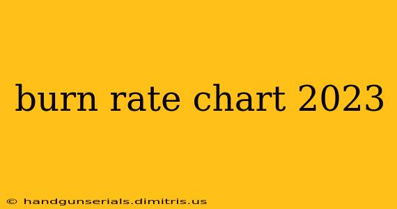 burn rate chart 2023