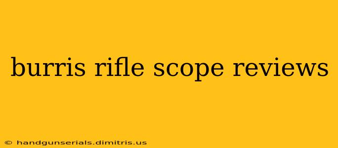 burris rifle scope reviews