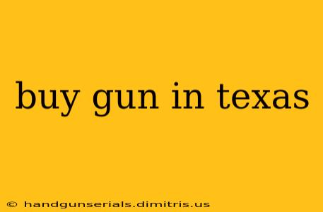 buy gun in texas