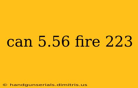 can 5.56 fire 223