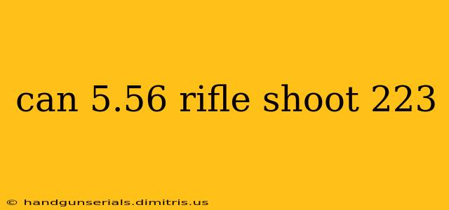 can 5.56 rifle shoot 223