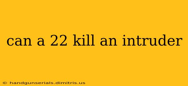 can a 22 kill an intruder