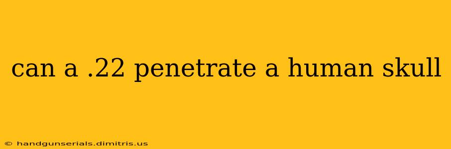 can a .22 penetrate a human skull