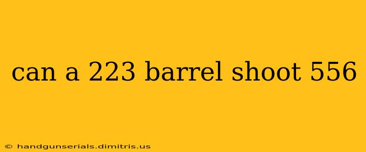 can a 223 barrel shoot 556