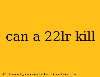 can a 22lr kill