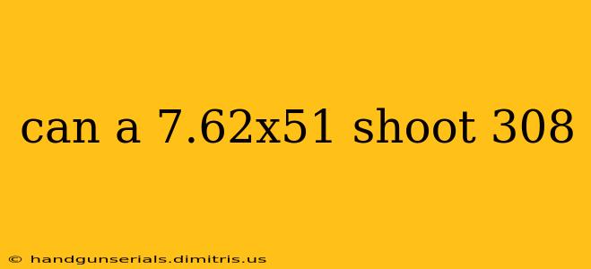 can a 7.62x51 shoot 308