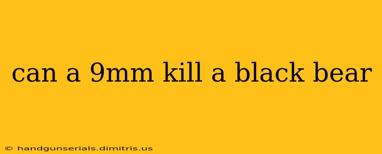 can a 9mm kill a black bear