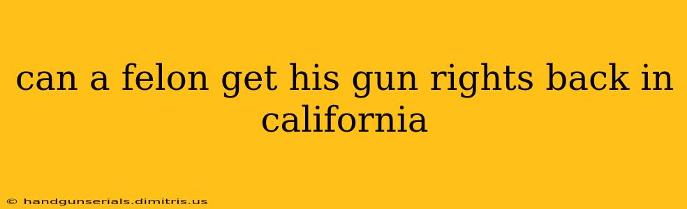 can a felon get his gun rights back in california