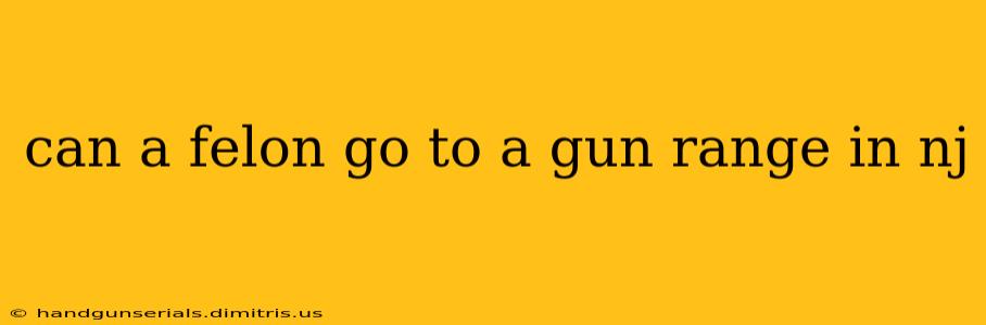 can a felon go to a gun range in nj