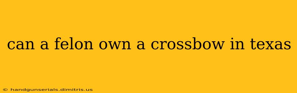 can a felon own a crossbow in texas