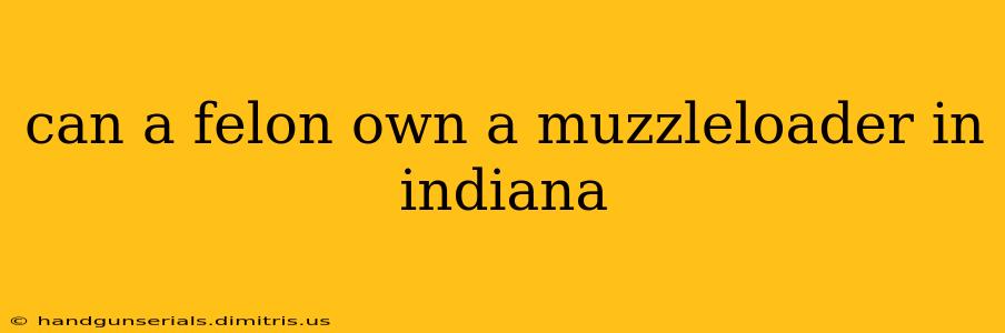 can a felon own a muzzleloader in indiana