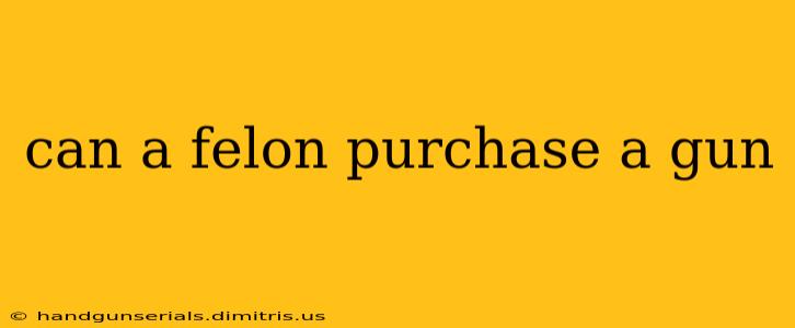 can a felon purchase a gun