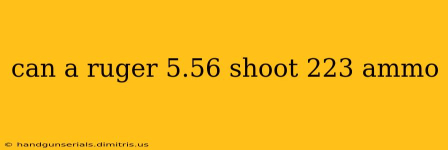 can a ruger 5.56 shoot 223 ammo