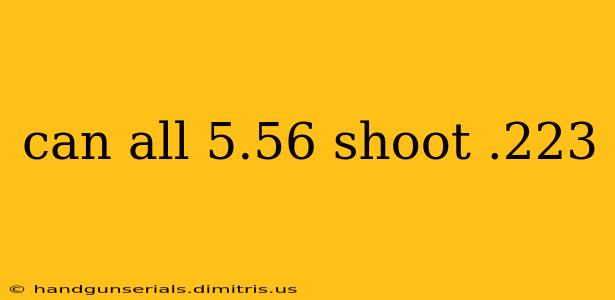 can all 5.56 shoot .223