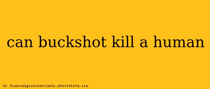 can buckshot kill a human