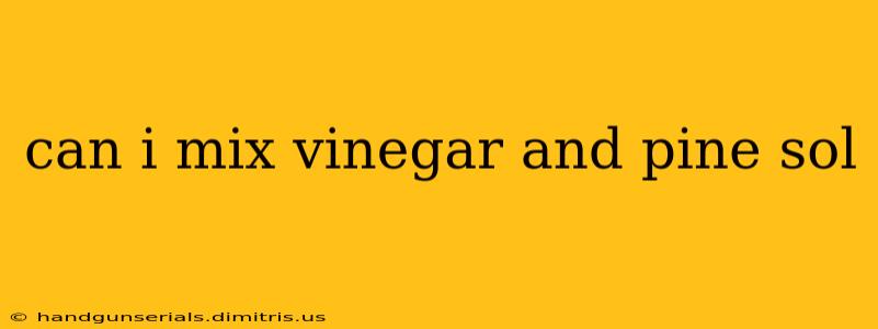 can i mix vinegar and pine sol