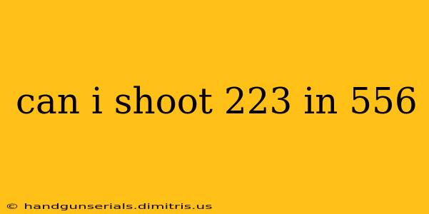 can i shoot 223 in 556