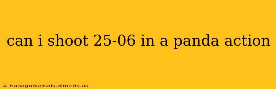 can i shoot 25-06 in a panda action