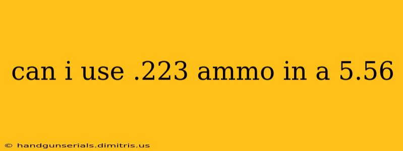 can i use .223 ammo in a 5.56