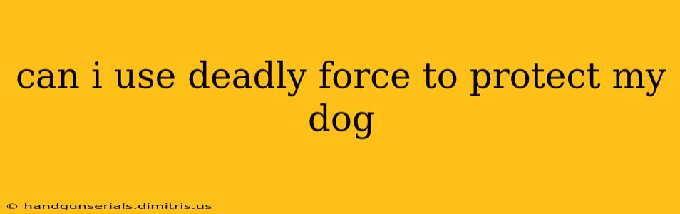 can i use deadly force to protect my dog