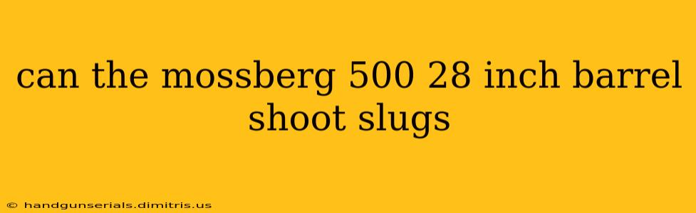 can the mossberg 500 28 inch barrel shoot slugs