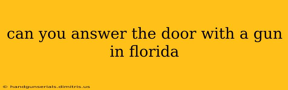 can you answer the door with a gun in florida