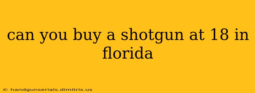 can you buy a shotgun at 18 in florida