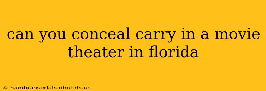 can you conceal carry in a movie theater in florida