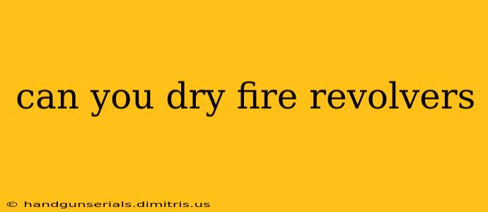 can you dry fire revolvers