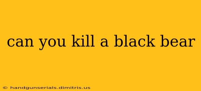 can you kill a black bear