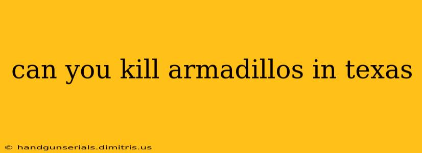 can you kill armadillos in texas