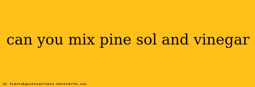 can you mix pine sol and vinegar