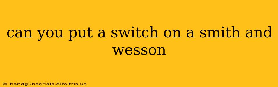 can you put a switch on a smith and wesson