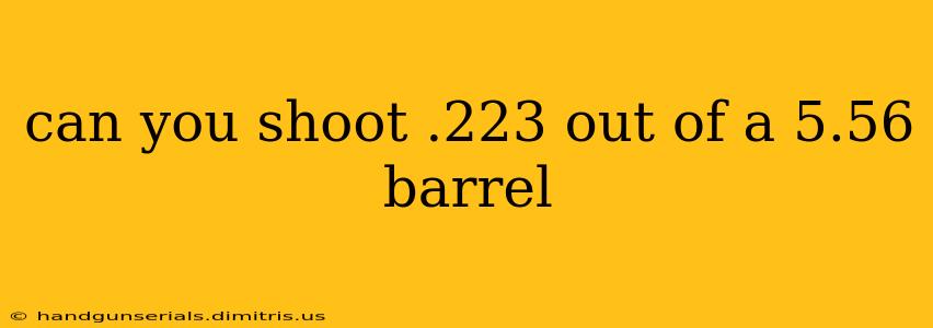 can you shoot .223 out of a 5.56 barrel