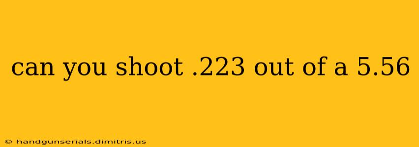 can you shoot .223 out of a 5.56