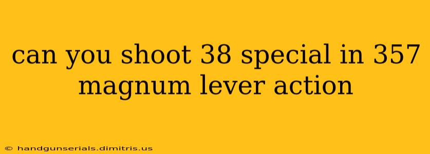 can you shoot 38 special in 357 magnum lever action