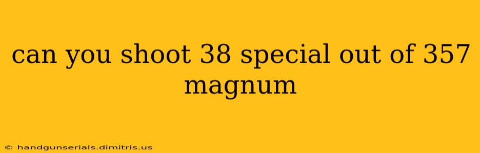 can you shoot 38 special out of 357 magnum