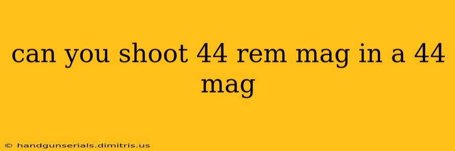 can you shoot 44 rem mag in a 44 mag