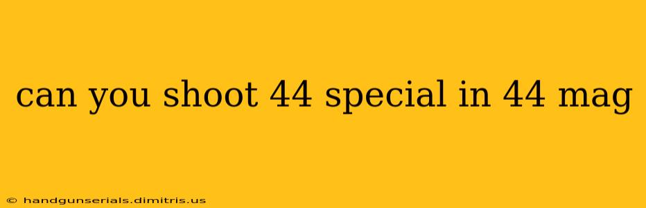 can you shoot 44 special in 44 mag